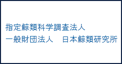 指定鯨類科学調査法人一般財団法人　日本鯨類研究所