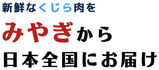 新鮮なくじら肉をみやぎから日本全国にお届け